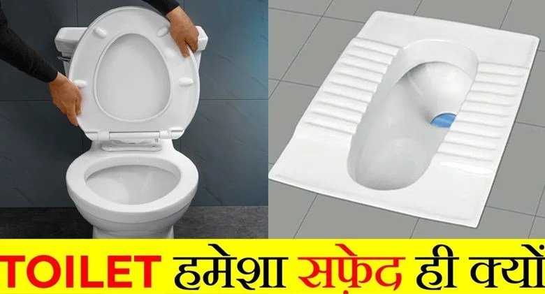 पोटीˈ वाली कमोड सफेद रंग की ही क्यों होती है? लाल या नीली क्यों नहीं होती? वजह जान लगेगा झटका