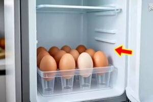 फ्रिजˈ में कितने दिन तक स्टोर कर के रख सकते हैं अंडे जानिए खरीदने के कितने दिन बाद तक है खाना