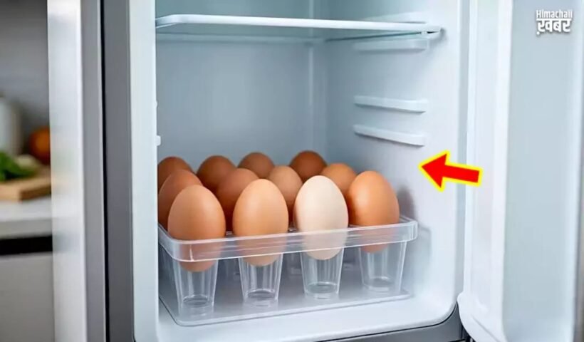 फ्रिजˈ में कितने दिन तक स्टोर कर के रख सकते हैं अंडे जानिए खरीदने के कितने दिन बाद तक है खाना