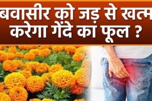 बवासीरˈ को जड़ से खत्म करेगा गेंदे के फूल और काली मिर्च का ये प्रयोग