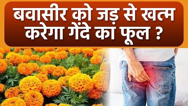 बवासीरˈ को जड़ से खत्म करेगा गेंदे के फूल और काली मिर्च का ये प्रयोग