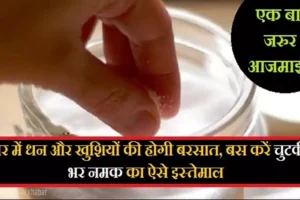 बसकरें चुटकी भर नमक का​ ऐसे इस्तेमाल, घर में धन और खुशियों की हो जाएगी बरसात