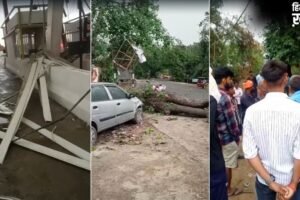 बहन का तिलक लेकर निकलने से ठीक पहले भाई की मौत, खंभा सिर पर गिरा और सब खत्म