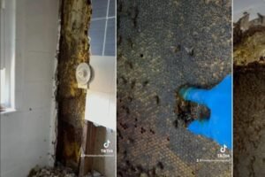 बाथरूम की दीवार बन गई थी डरावनी आवाज़ का बसेरा, जब दीवार टूटी फिर पता चली सच्चाई