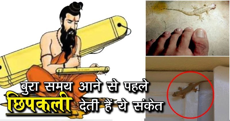 बुराˈ समय आने से पहले छिपकली देती हैं ये संकेत जरूर जानें वरना बहुत पछताएंगे