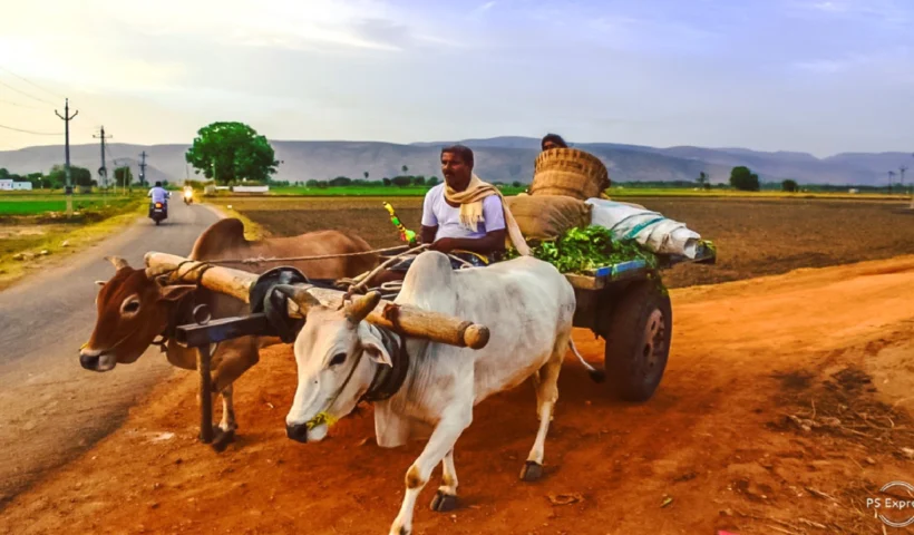 बैलगाड़ीचल रही थी और गाड़ीवान​ आराम से सो रहा था। एक सॉफ्टवेयर इंजीनियर ने यह देखा और