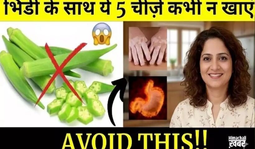 भिंडी के साथ ये चीजें कभी न खाएं! वरना हो सकता है नुकसान, खुद भी पढ़ें और औरों को भी जाकरूक करें