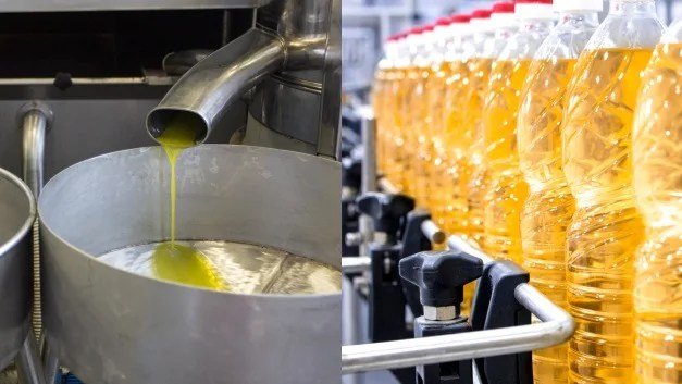 मर्दों को नपुंसक और मौत दे रहा है ये तेल खाना बनाते वक्त ना करें इसका इस्तेमाल