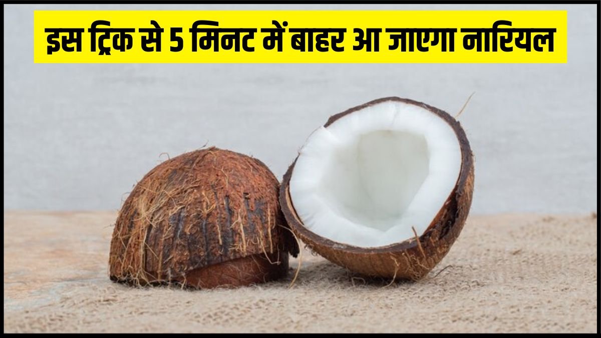 मिल गई सख्त खोल से नारियल को सेकेंड में निकालने की आसान ट्रिक, बिना चाकू के ऐसे निकलेगा Coconut बाहर
