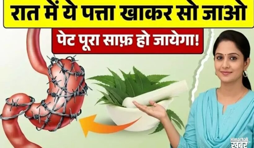 ये 4 पत्ते रात में खाइए – सुबह तक आपका पेट, लिवर और आंतें हो जाएंगी एकदम क्लीन!