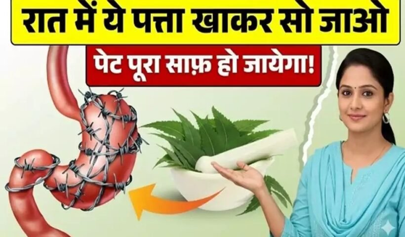 येˈ 4 पत्ते रात में खाइए – सुबह तक आपका पेट, लिवर और आंतें हो जाएंगी एकदम क्लीन!