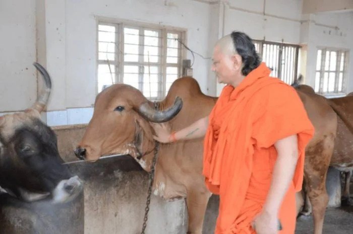 लखपतिˈ हैं इस गौशाला की 28 गायें बैंक में है 1-1 लाख की एफडी जाने कैसे अमीर बनी