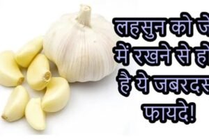 लहसुनˈ को जेब में रखने से होते है ये जबरदस्त फायदे, क्लिक करके जाने पूरी खबर