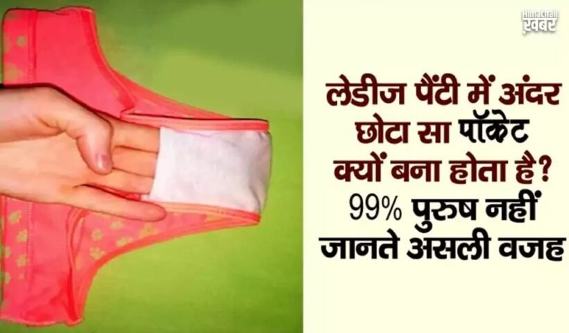 लेडीज पैंटी में अंदर छोटा सा जेब क्यों बना होता है? 99% पुरुष नहीं जानते असली वजह