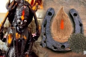 शनिदेव का नाम लेकर करें घोड़े की नाल के टोटके गरीब बन जाएगा अमीर बीमार हो जाएगा ठीक