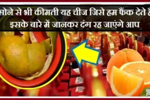 सोनेसे भी कीमती यह चीज​ जिसे हम फैंक देते हैं, इसके बारे में जानकर दंग रह जाएंगे आप