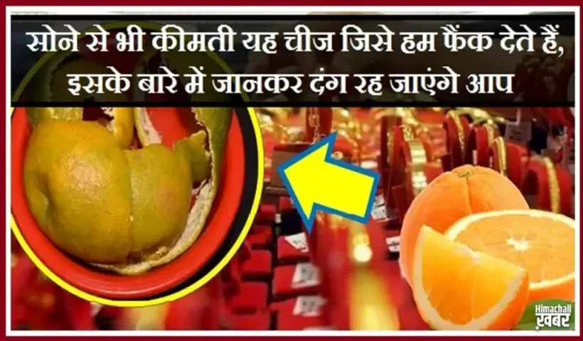 सोनेसे भी कीमती यह चीज​ जिसे हम फैंक देते हैं, इसके बारे में जानकर दंग रह जाएंगे आप