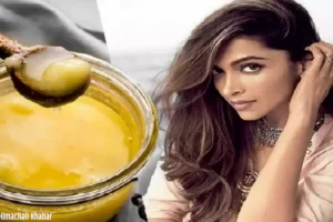हफ्तेमें बस एक दिन लगा​ लो बालों में घी, डैमेज बाल भी बोल उठेंगे, फायदे गिनते गिनते थक जाओगे आप