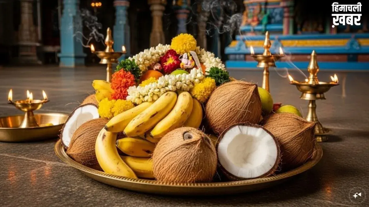 Coconut Upay: ज्योतिष और किस्मत से क्या है नारियल का कनेक्शन? जानिए कैसे मुसीबतों से बचा सकता है यह फल​