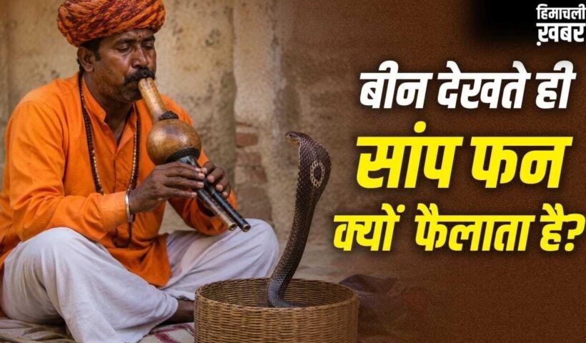 Snake Charmer Myths: क्या सपेरा बीन की आवाज से सांप को मदहोश कर देता है? यहां समझें पूरा सच​