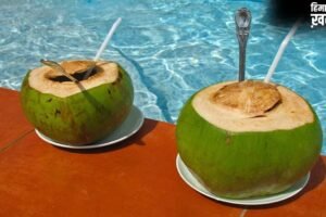 Summer Health Tip: पानी से लबालब नारियल कैसे चुनें? ये 5 ‘Golden Rules’ आपको बचाएंगे​