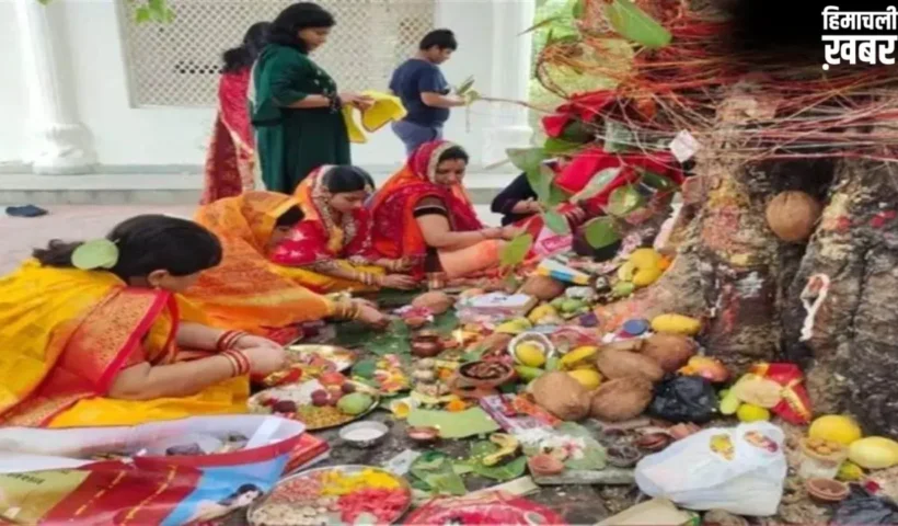 Vat Savitri: वट सावित्री के दिन चुपचाप कर लें ये 5 अचूक उपाय, जन्मों तक बना रहेगा खुशहाल साथ!​