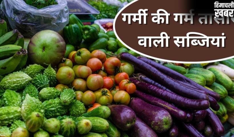 गर्मियों की ये सब्जियां बढ़ा सकती हैं शरीर में गर्मी, ज्यादा खाने की न करें गलती