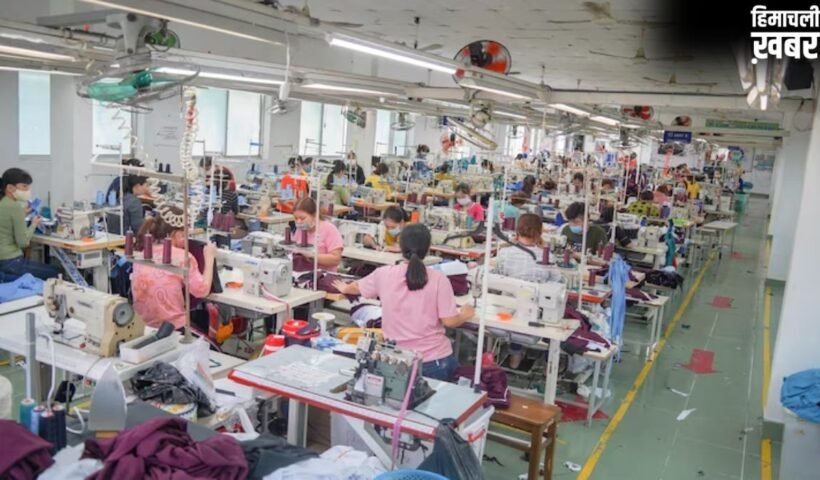 डिजिटलीकरण सुधारों से बढ़ी MSME की उत्पादकता, IMF रिसर्च में सामने आईं अहम बातें