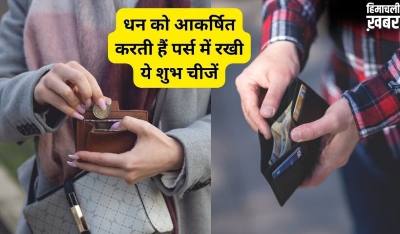 पर्स में पैसों के अलावा रखें ये शुभ चीजें, धन लाभ और बरकत के खुलेंगे रास्ते​