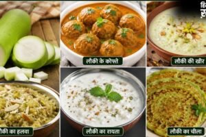 रोज की सब्जी से हटकर ट्राई करें लौकी से बनी ये 5 डिशेज, बोरिंग खाने में भी आ जाएगा स्वाद​