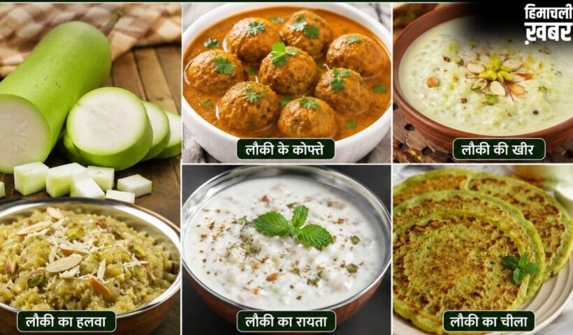 रोज की सब्जी से हटकर ट्राई करें लौकी से बनी ये 5 डिशेज, बोरिंग खाने में भी आ जाएगा स्वाद​