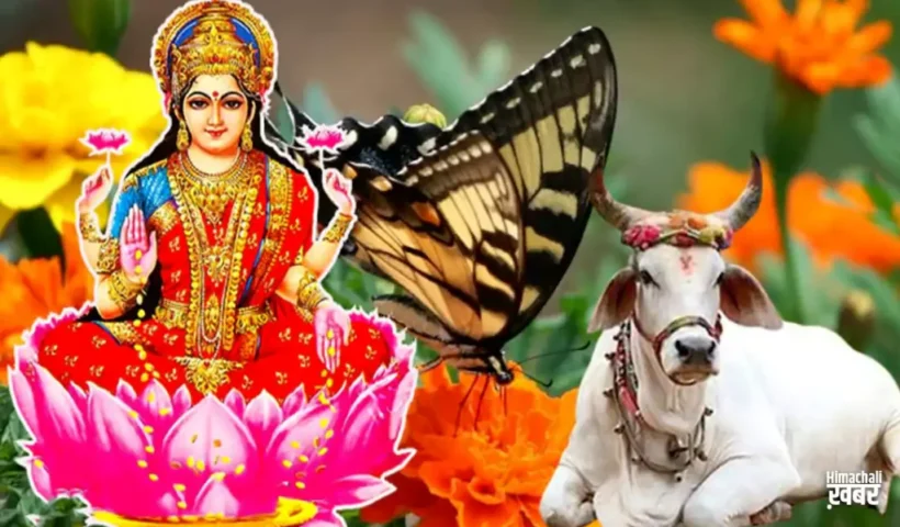 ​​अच्छा समय आने की 7 निशानियां यदि आपके साथ भी हो रही हैं ऐसी चीजें तो हो जाइए खुश​​​​​