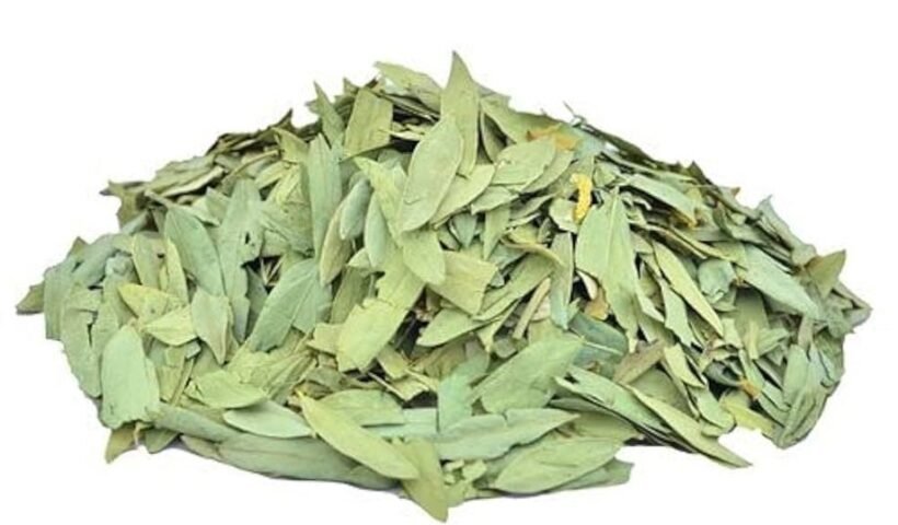 ​​आप भी करले इस पत्ते या फिर इसके पाउडर का सेवन, उठते ही भागेंगे सीधे वॉशरूम​​​​​