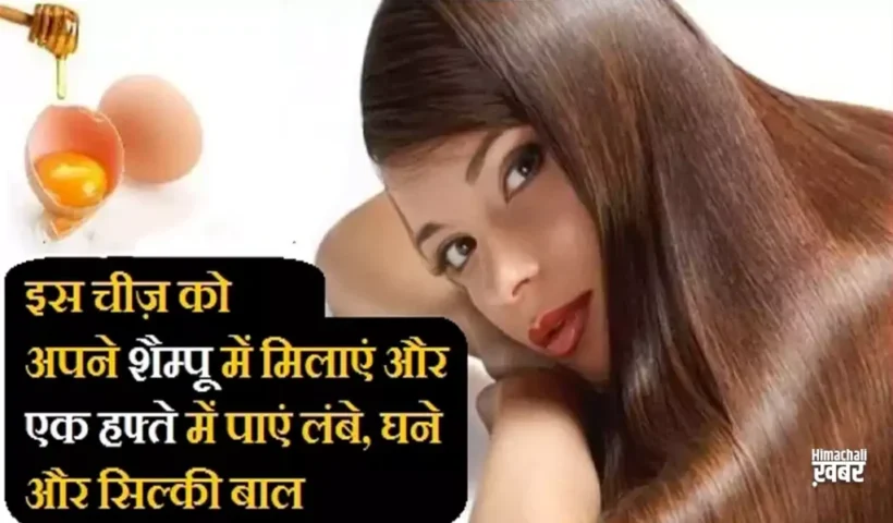 ​​इस चीज़ को अपने शैम्पू में मिलाएं और एक हफ्ते में पाएं लंबे, घने और सिल्की बाल​​​​​