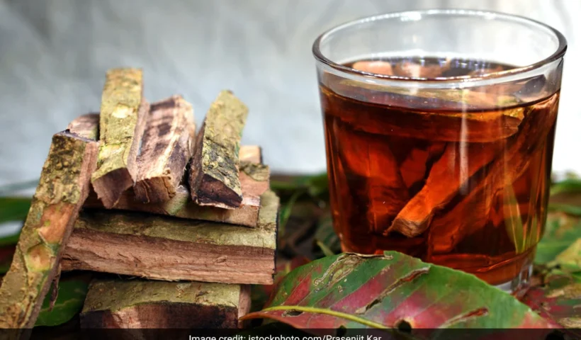 ​​इस पेड़ की छाल करती है ब्लड शुगर कंट्रोल, बस दिन में एक बार कर लें इसका सेवन​​​​​