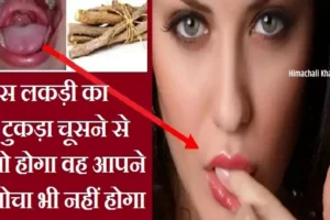 ​​इस लकड़ी का 1 टुकड़ा चूसने से जो होगा चमत्कार जो आपने कभी सोचा भी नहीं होगा, जरूर जाने​​​​​