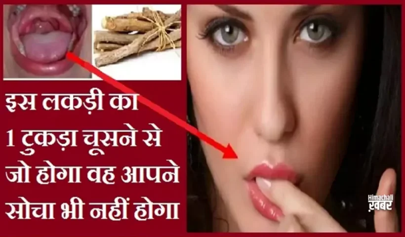 ​​इस लकड़ी का 1 टुकड़ा चूसने से जो होगा वह आपने सोचा भी नहीं होगा, जरूर जाने​​​​​