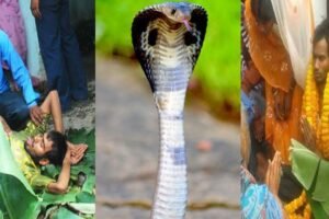 ​​ख़ुद को युवक बताता है इच्छाधारी नाग और करना चाहता है नागिन से विवाह​​​​​