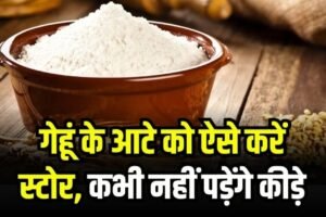 ​​गेहूं का आटा ऐसे करें स्टोर, महीनों तक नहीं पड़ेंगे कीड़े​​​​​