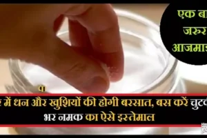 ​​घर में धन और खुशियों की होगी बरसात, बस करें चुटकी भर नमक का ऐसे इस्तेमाल​​​​​