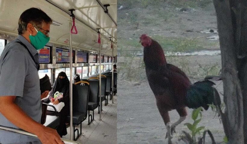 ​​जब बस में सफर कर रहा था मुर्गा, कंडक्टर ने काट दिया 30 रुपए का टिकट, देखें फिर क्या हुआ​​​​​