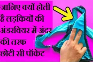 ​​जानिए क्यों होती है लड़कियों की अंडरवियर में अंदर की तरफ छोटी सी पॉकेट​​​​​