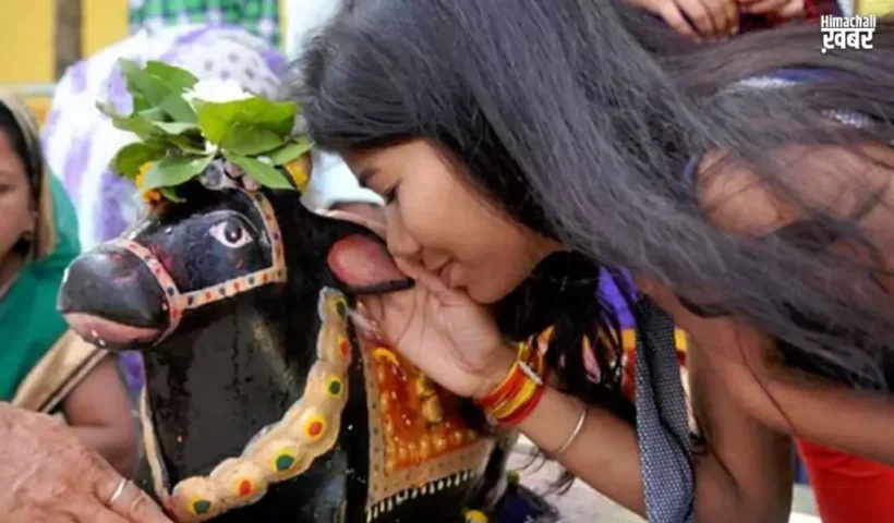 ​​नंदी के कान में ऐसे बोलनी चाहिए अपनी मनोकामना जान लें सही तरीका तभी मिलेगा फल​​​​​