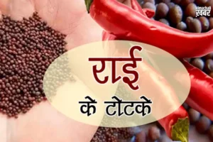 ​​राई के इन टोटकों से चमक सकती है आपकी किस्मत, दूर हो सकते हैं सारे कष्ट​​​​​