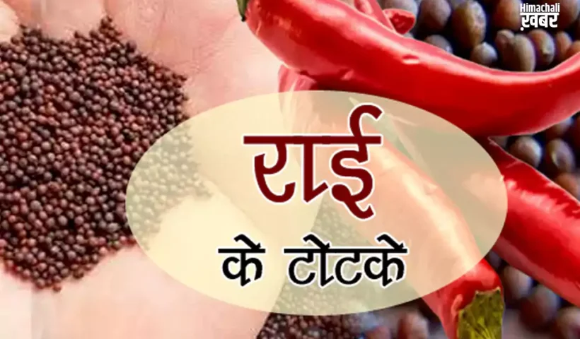 ​​राई के इन टोटकों से चमक सकती है आपकी किस्मत, दूर हो सकते हैं सारे कष्ट​​​​​