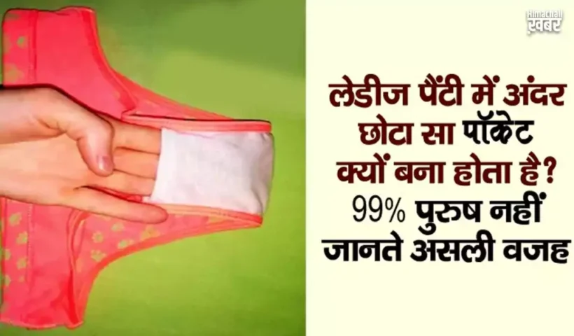 ​​लेडीज पैंटी में अंदर छोटा सा जेब क्यों बना होता है? 99% पुरुष नहीं जानते असली वजह​​​​​