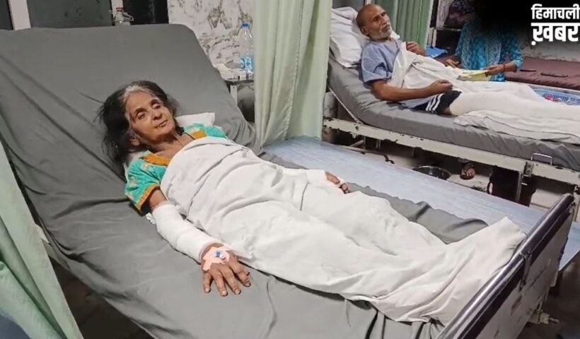 ‘खूनी’ पालतू कुत्ते का आतंक: पहले दादी को उतारा मौत के घाट, अब मां को किया लहूलुहान